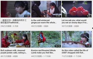 李子柒夜店爆料视频网盘,揭秘网红背后的真实生活